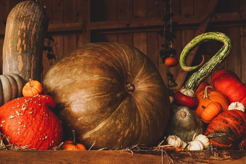 Quick Harvests